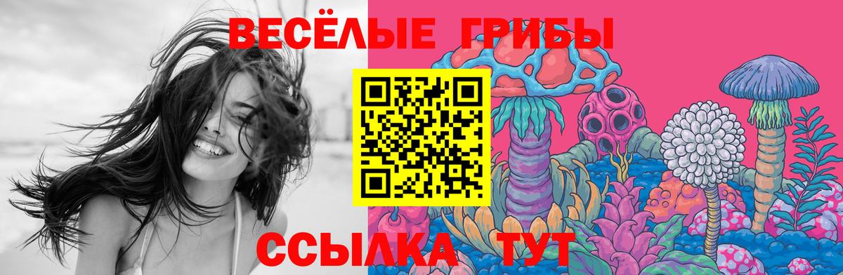 Псилоцибиновые грибы MAGIC MUSHROOMS Татарск